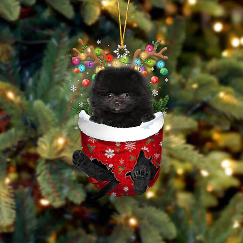 Pomeranian In Snow Pocket Christmas Ornament SP221-Jolura