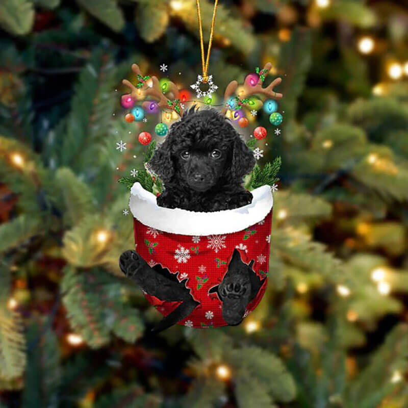 Toy Poodle In Snow Pocket Christmas Ornament SP222-Jolura