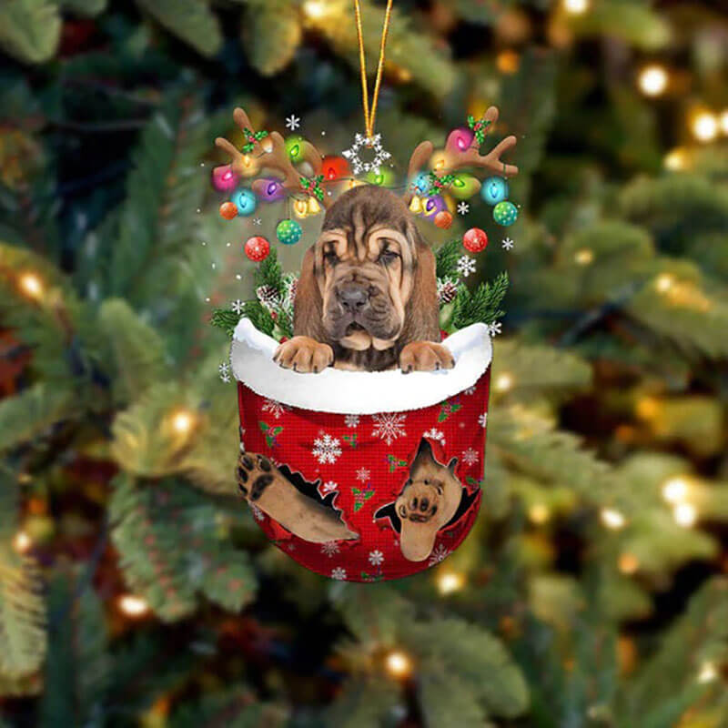 Bloodhound In Snow Pocket Christmas Ornament SP223-Jolura