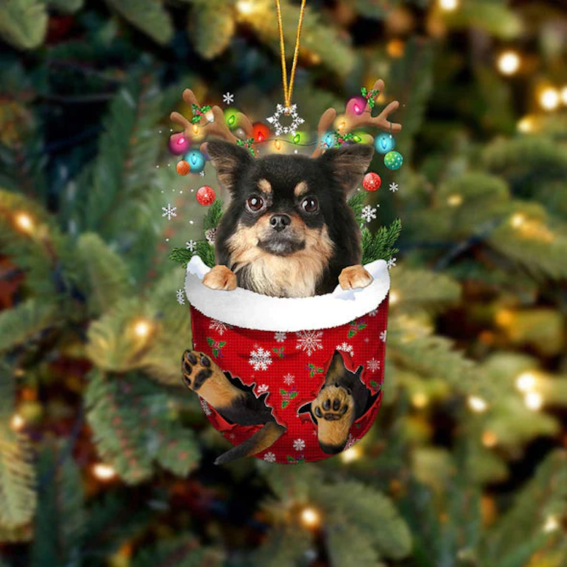 Chihuahua Long Haired In Snow Pocket Christmas Ornament SP229-Jolura