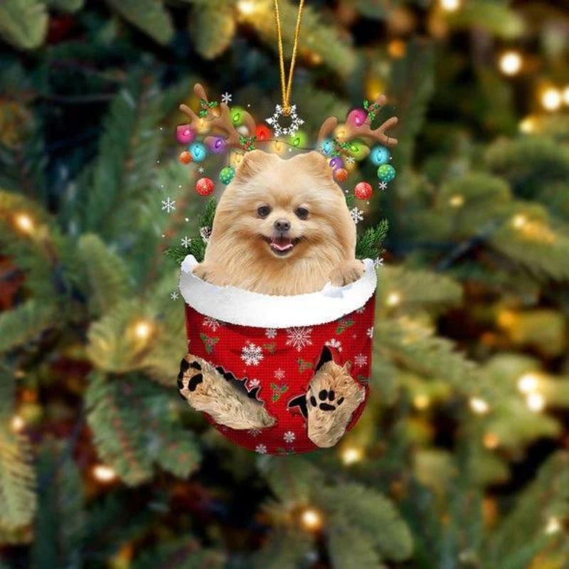 Pomeranian In Snow Pocket Christmas Ornament SP235-Jolura