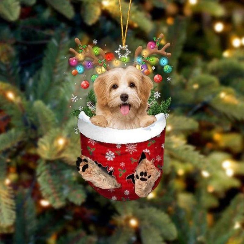 Havanese In Snow Pocket Christmas Ornament SP253-Jolura