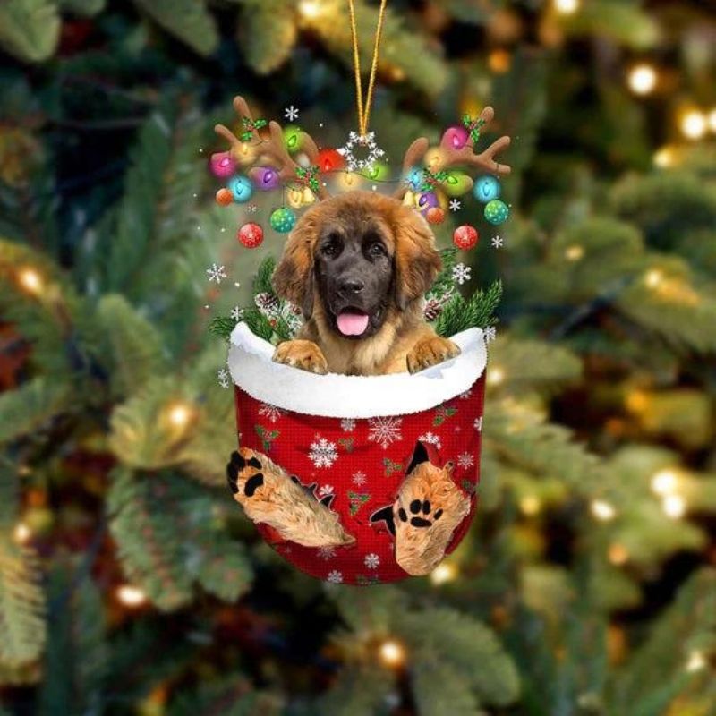 Leonberger In Snow Pocket Christmas Ornament SP257-Jolura