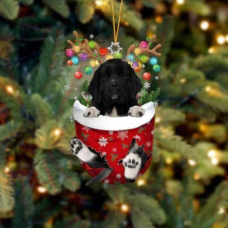 Newfoundland In Snow Pocket Christmas Ornament SP259-Jolura