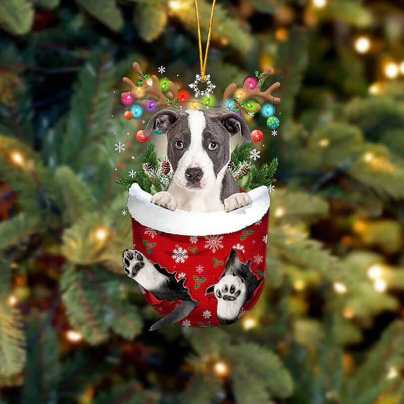 Pitbull In Snow Pocket Christmas Ornament SP264-Jolura