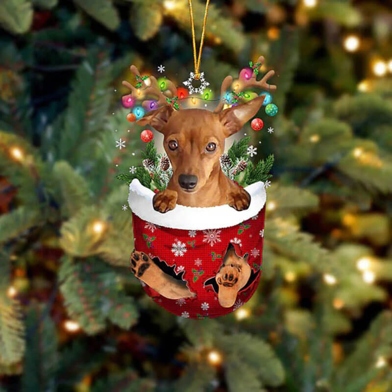 Miniature Pinscher In Snow Pocket Christmas Ornament SP267-Jolura