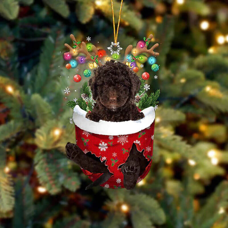 Spanish Water Dog In Snow Pocket Christmas Ornament SP275-Jolura