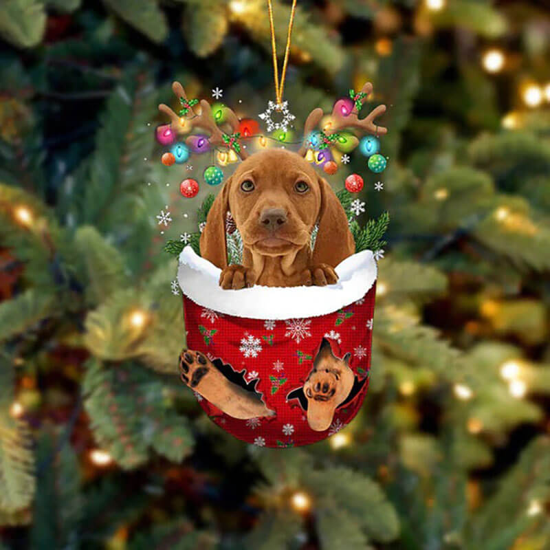 Vizsla In Snow Pocket Christmas Ornament SP278-Jolura