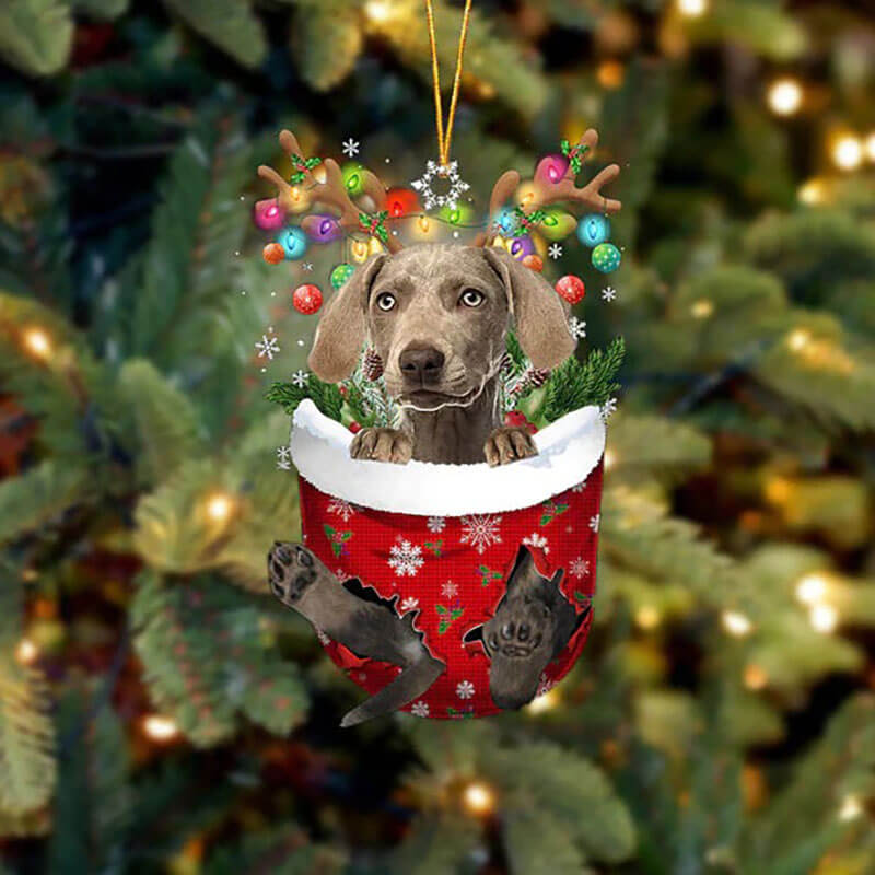 Weimaraner In Snow Pocket Christmas Ornament SP279-Jolura