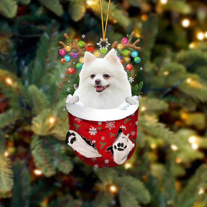 Pomeranian In Snow Pocket Christmas Ornament SP286-Jolura