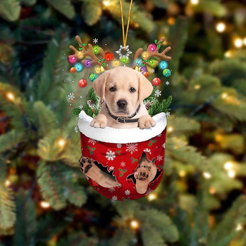 Goldador In Snow Pocket Christmas Ornament SP290-Jolura