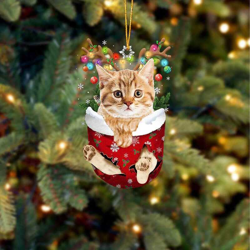 Cat In Snow Pocket Christmas Ornament SP291-Jolura