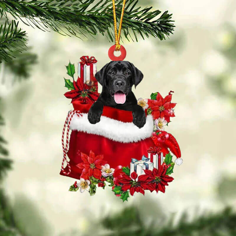 Labrador Retriever In Gift Bag Christmas Ornament GB002-Jolura