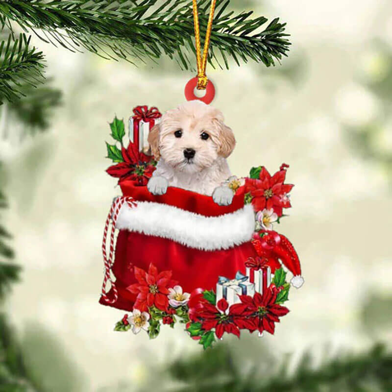 Maltipoo In Gift Bag Christmas Ornament GB006-Jolura