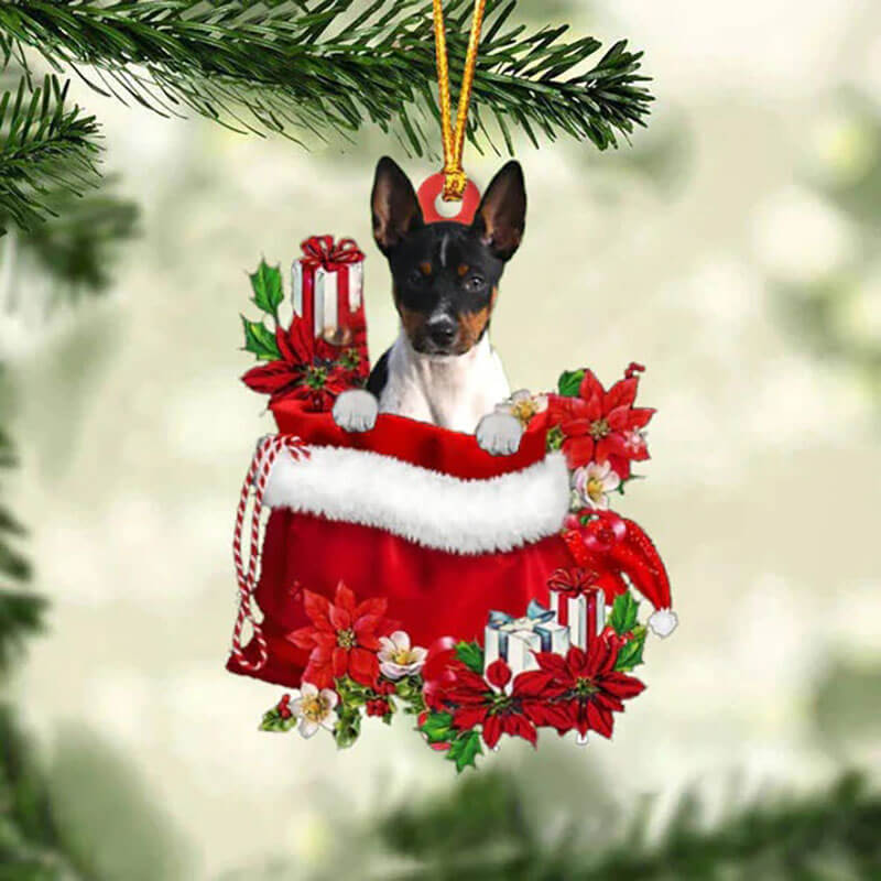Rat Terrier In Gift Bag Christmas Ornament GB008-Jolura