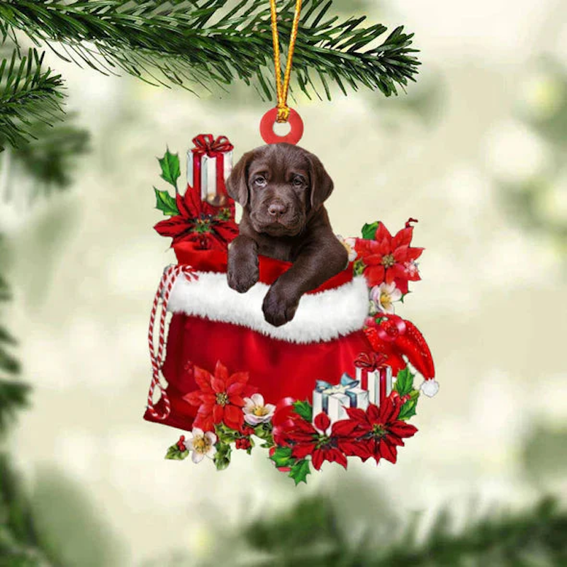 Labrador Retriever In Gift Bag Christmas Ornament GB012-Jolura