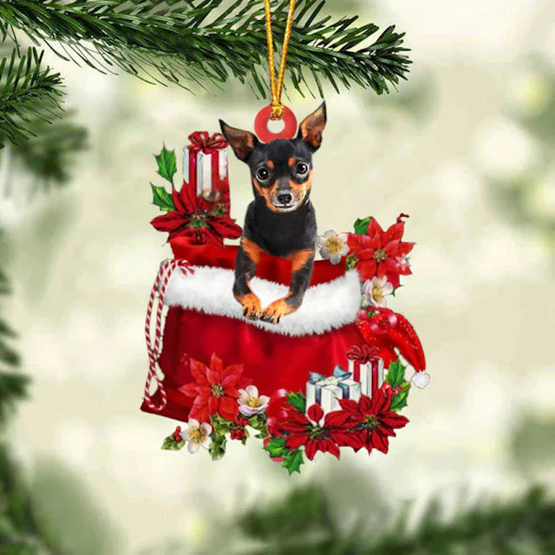 Miniature Pinchers In Gift Bag Christmas Ornament GB017-Jolura