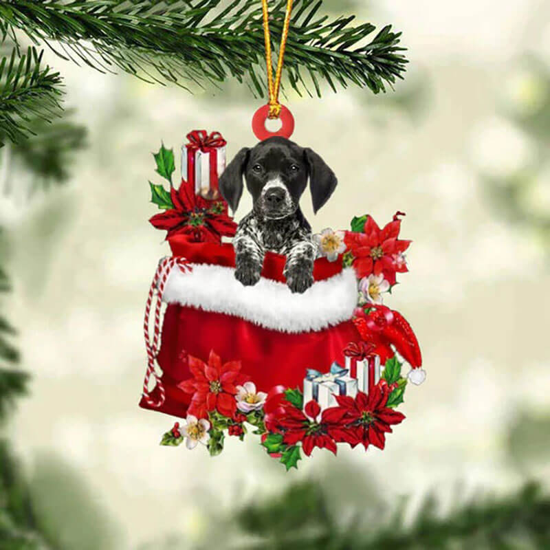 German Shorthaired Pointer In Gift Bag Christmas Ornament GB023-Jolura