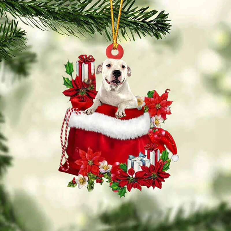 Dogo Argentino In Gift Bag Christmas Ornament GB025-Jolura