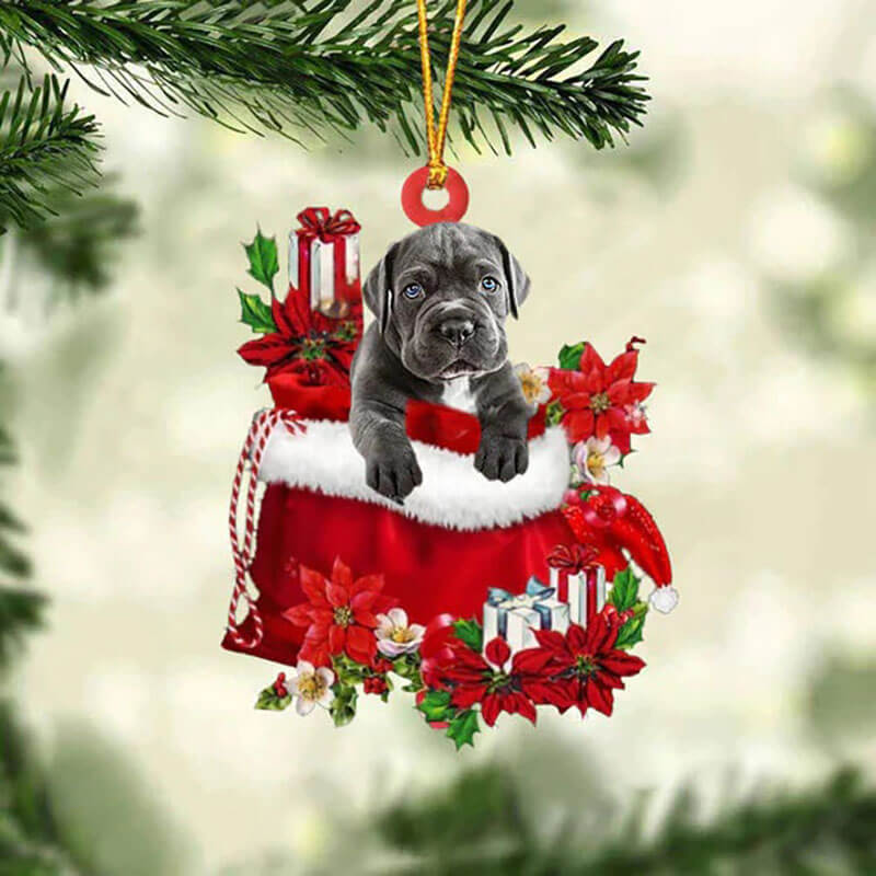 Cane Corso In Gift Bag Christmas Ornament GB031-Jolura