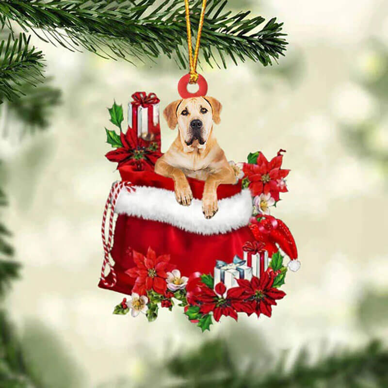 Boerboel In Gift Bag Christmas Ornament GB032-Jolura