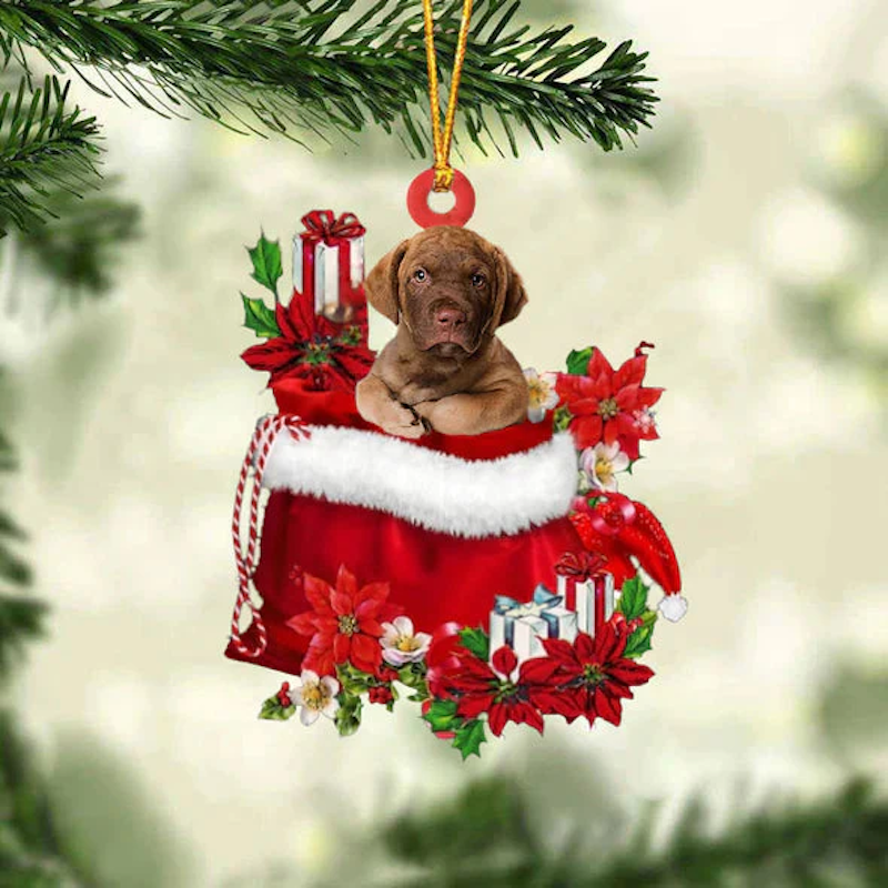 Chesapeake Bay Retriever In Gift Bag Christmas Ornament GB044-Jolura