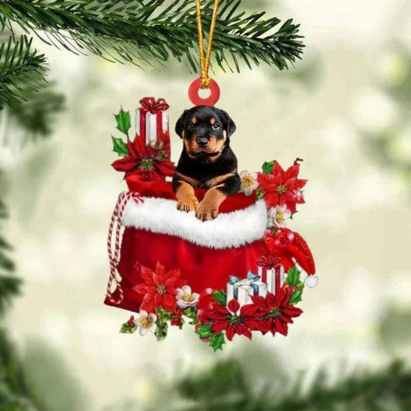 Rottweiler In Gift Bag Christmas Ornament GB053-Jolura