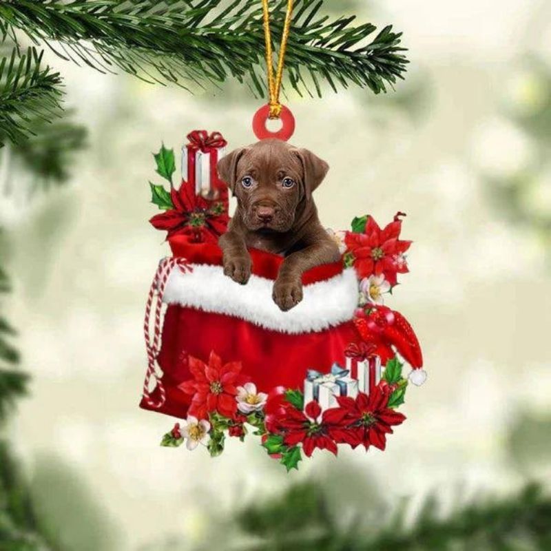 Pit Bull In Gift Bag Christmas Ornament GB059-Jolura