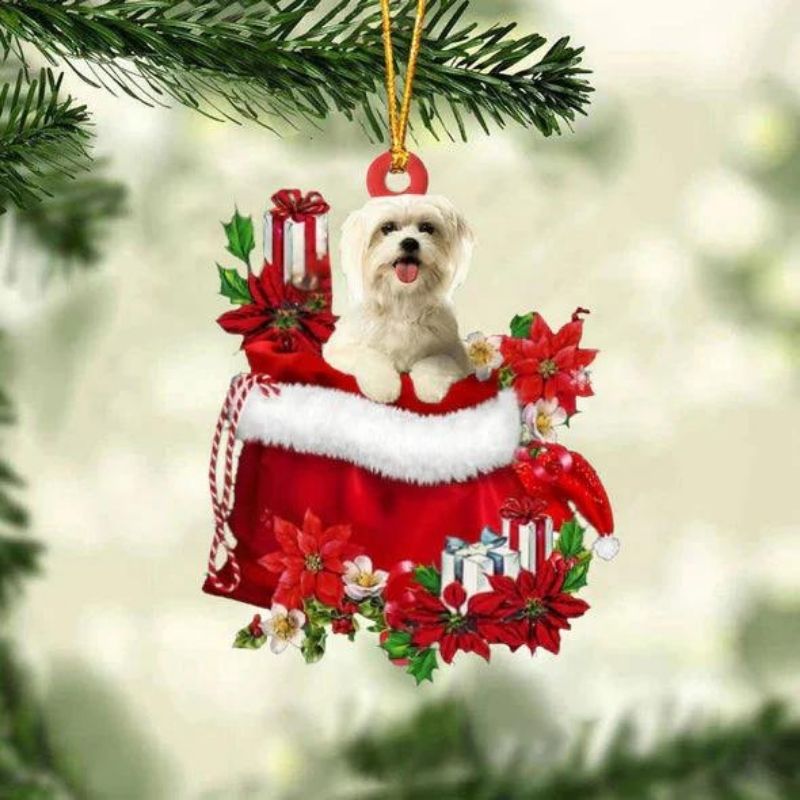 Maltese In Gift Bag Christmas Ornament GB061-Jolura