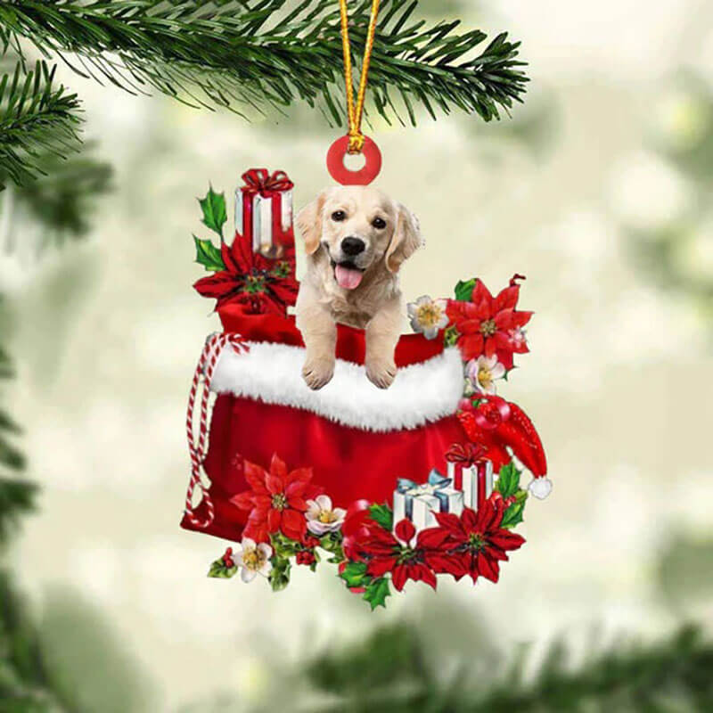 Golden Retriever In Gift Bag Christmas Ornament GB072-Jolura