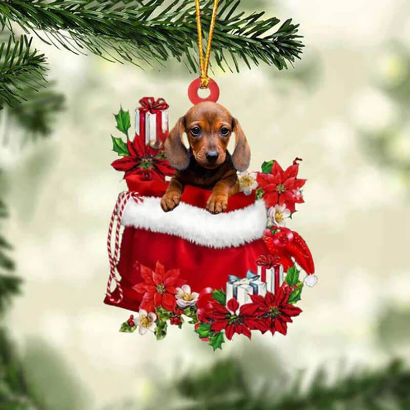 Dachshund In Gift Bag Christmas Ornament GB081-Jolura
