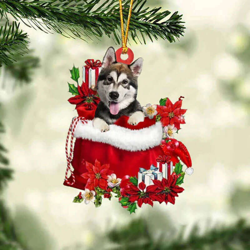 Alaskan Malamute In Gift Bag Christmas Ornament GB096-Jolura