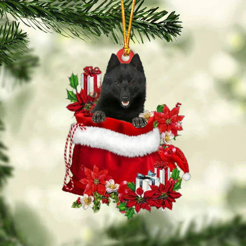 Schipperke In Gift Bag Christmas Ornament GB112-Jolura