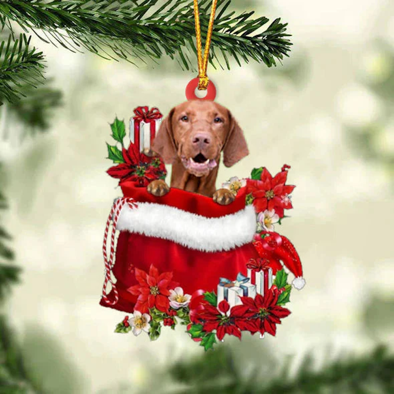 Vizsla In Gift Bag Christmas Ornament GB115-Jolura