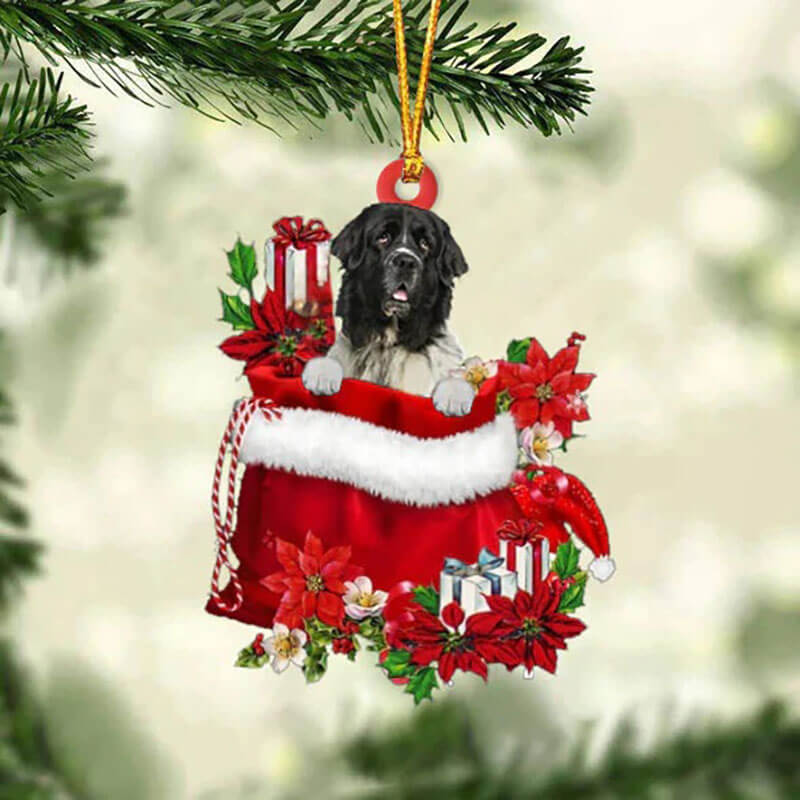 Newfounderland In Gift Bag Christmas Ornament GB123-Jolura