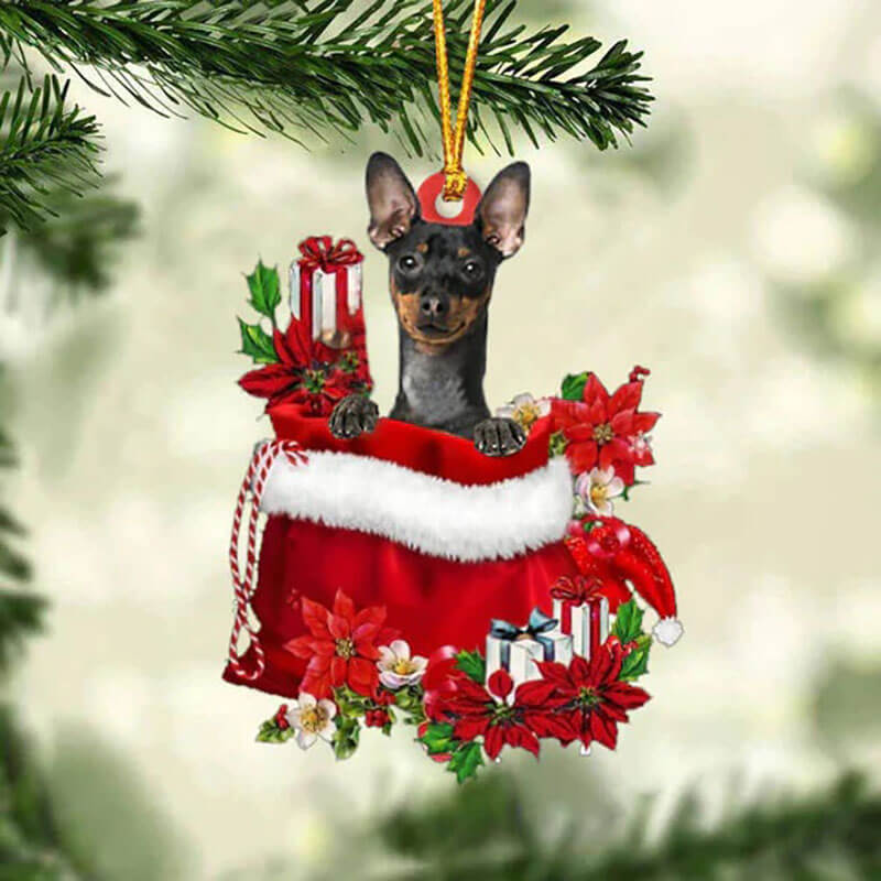 Miniature Pinscher In Gift Bag Christmas Ornament GB125-Jolura
