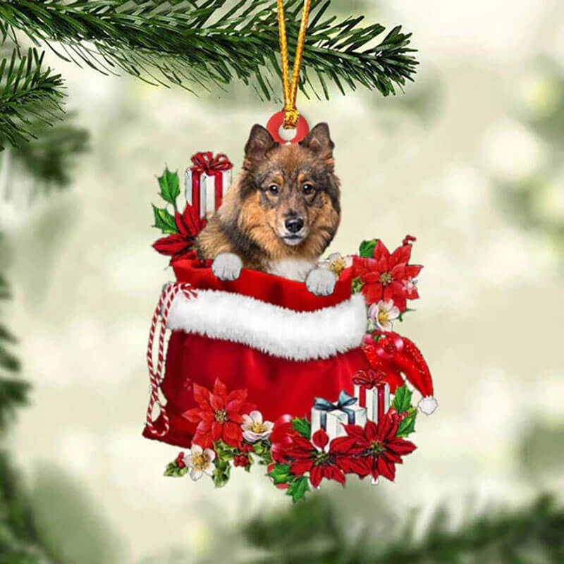 Eurasier In Gift Bag Christmas Ornament GB130-Jolura