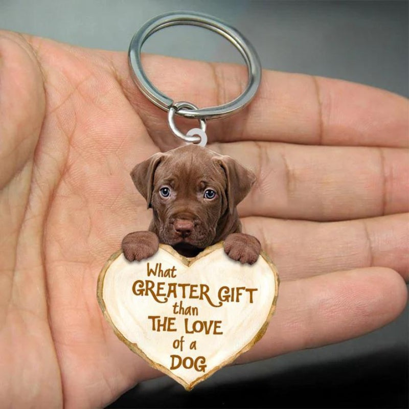 Pitbull What Greater Gift Than The Love Of A Dog Acrylic Keychain GG125-Jolura