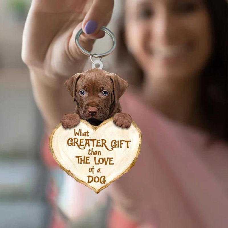 Pitbull What Greater Gift Than The Love Of A Dog Acrylic Keychain GG125-Jolura