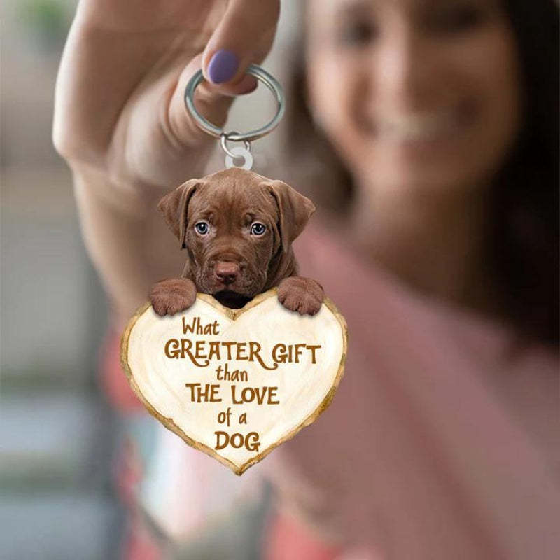 Pitbull What Greater Gift Than The Love Of A Dog Acrylic Keychain GG125-Jolura