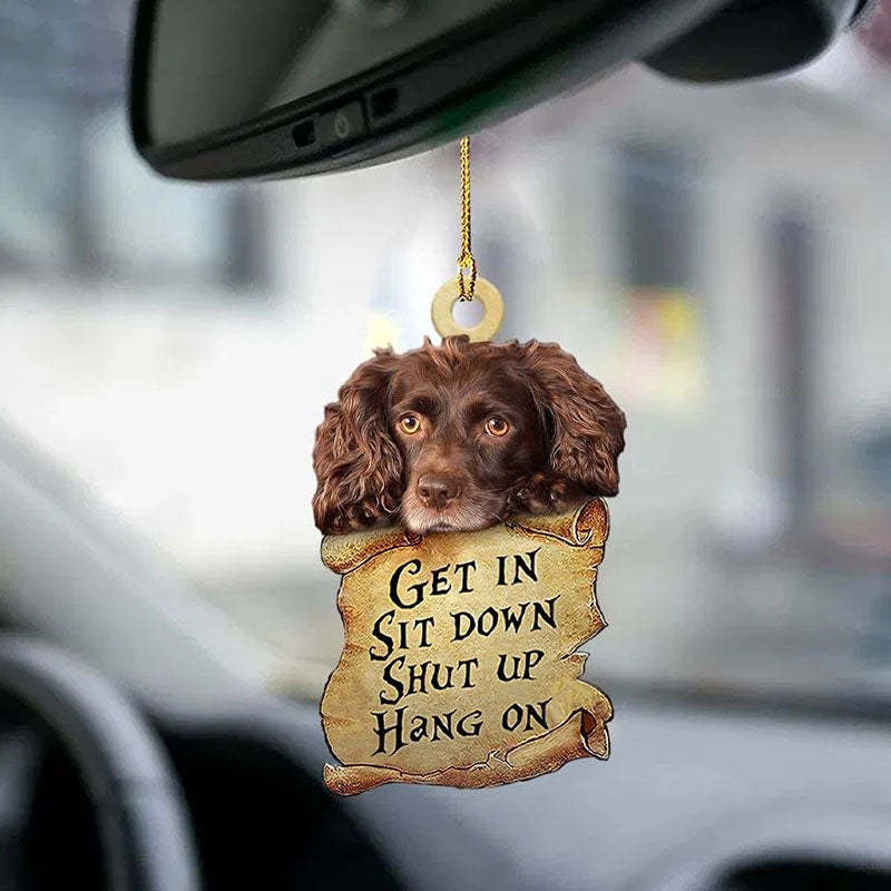 Boykin Spaniel Get In Ornament GI062-Jolura