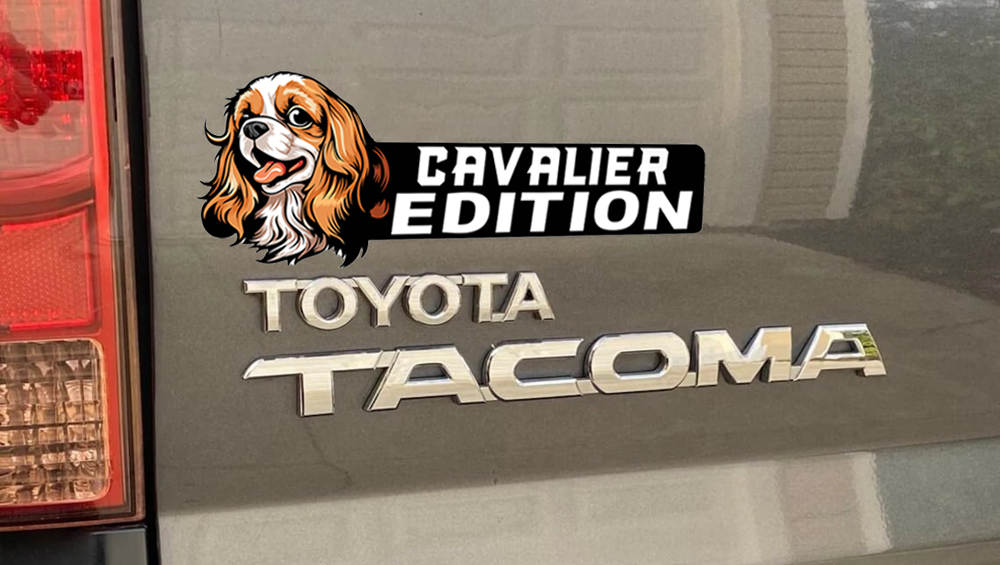 Cavalier King Charles Car Badge Laser Cutting Car Emblem CE134-Jolura