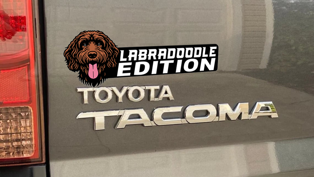 Labradoodle Car Badge Laser Cutting Car Emblem CE141-Jolura