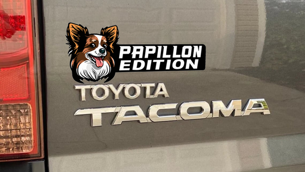 Papillon Car Badge Laser Cutting Car Emblem CE143-Jolura