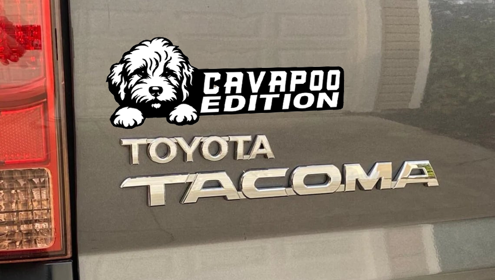Cavapoo Car Badge Laser Cutting Car Emblem CE155-Jolura