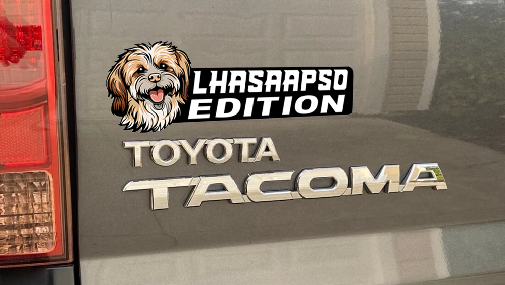 Lhasaapso Car Badge Laser Cutting Car Emblem CE156-Jolura