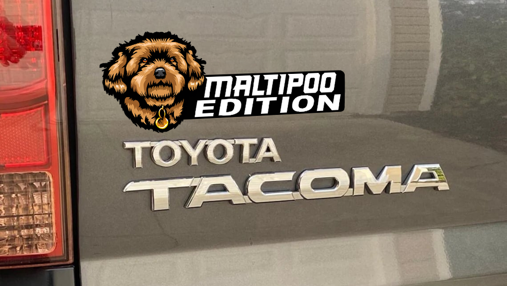 Maltipoo Car Badge Laser Cutting Car Emblem CE157-Jolura