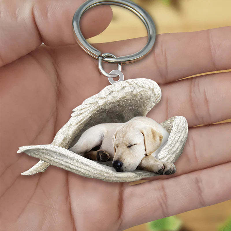 Sleeping Angel Acrylic Keychain Labrador Retriever SA088-Jolura