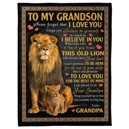I Love You - A387 - Lion Premium Blanket-Jolura