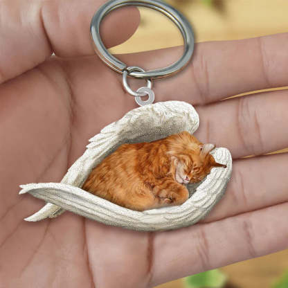 Sleeping Angel Acrylic Keychain Maine Coon Cat SA117-Jolura
